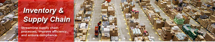 Inventory and Supply Chain Solutions